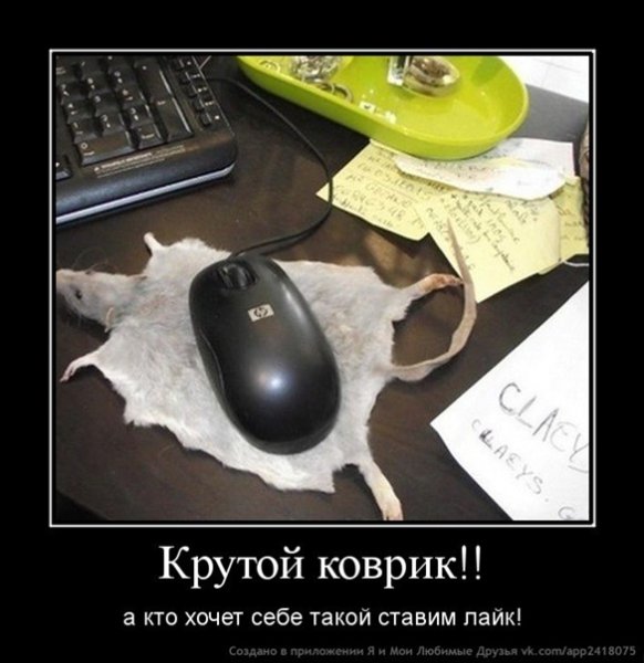 Демотиваторы Игорь 1500