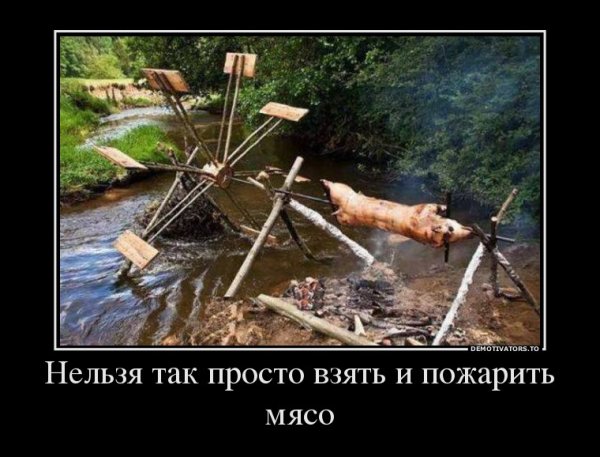 Пикник демотиватор
