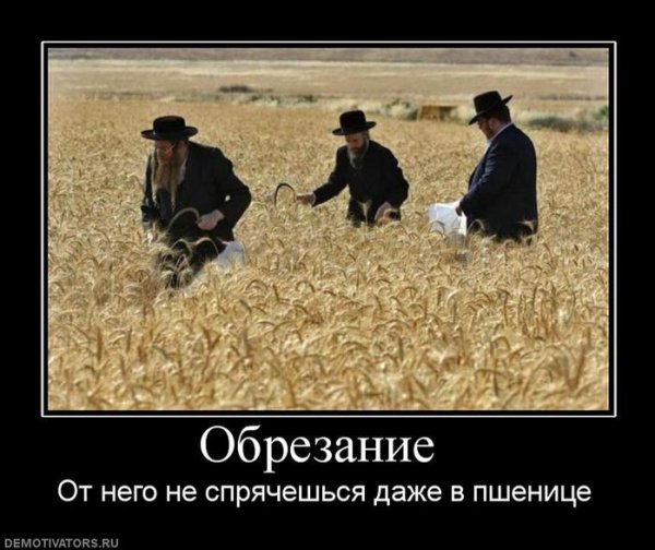 Жиды демотиваторы