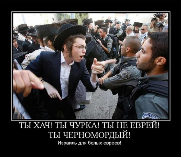 Жиды демотиваторы