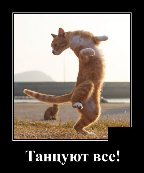 Танцуют все смешно