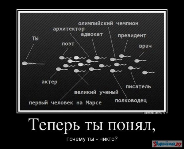 Крутые демотиваторы