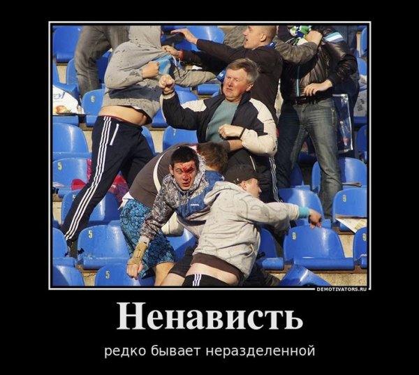 Демотиватор ненавижу