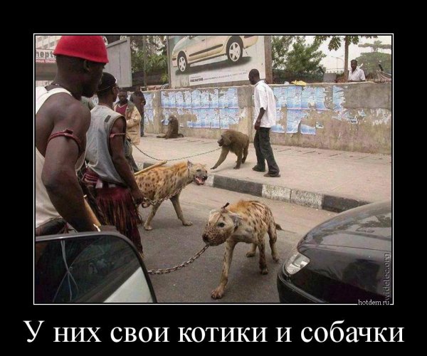 Цивилизация демотиватор