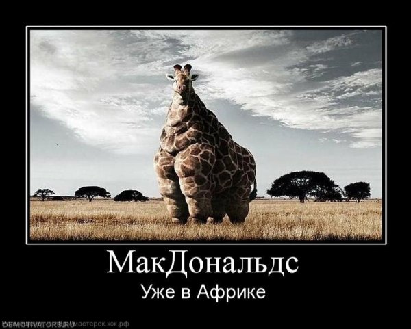 Демотиваторы про феминисток
