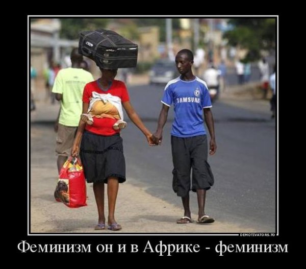 Демотиватор СОЦИУМ