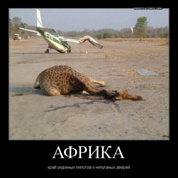 Голод в Африке демотиватор