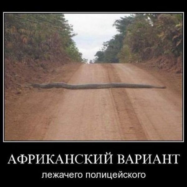 Коренные москвичи прикол