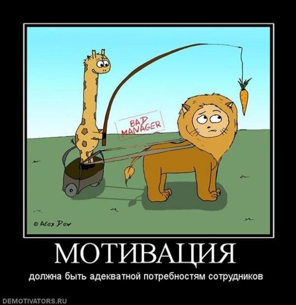Мотивация демотиватор