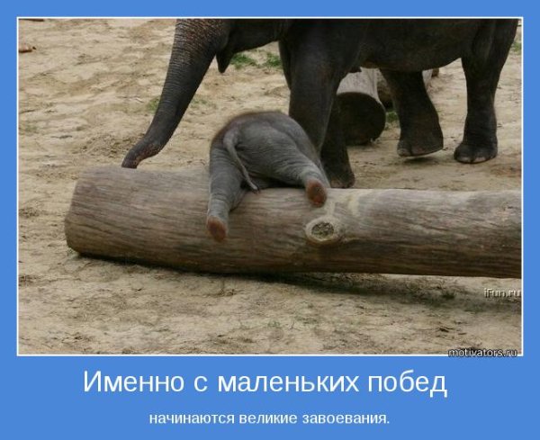 Шуточные мотиваторы