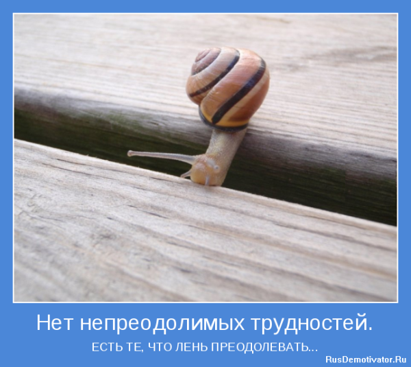 Мотиватор для жизни