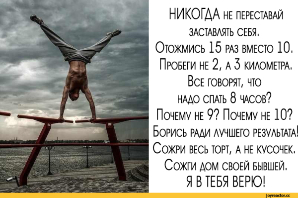Мотивирующие цитаты с юмором