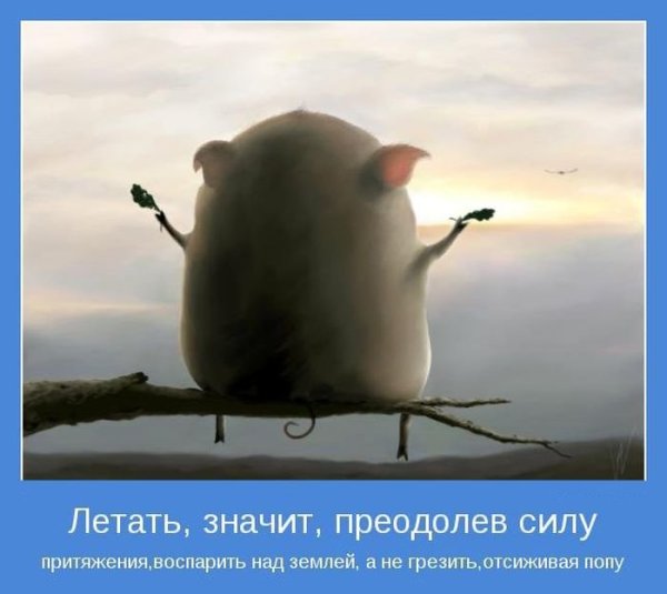 Мотиваторы позитивные смешные
