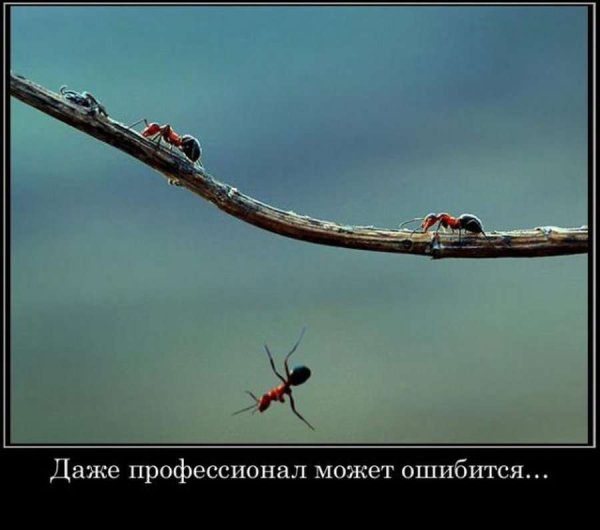 Мотиватор и демотиватор