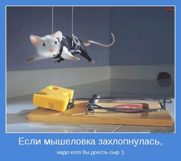 Мотиваторы позитивные про работу