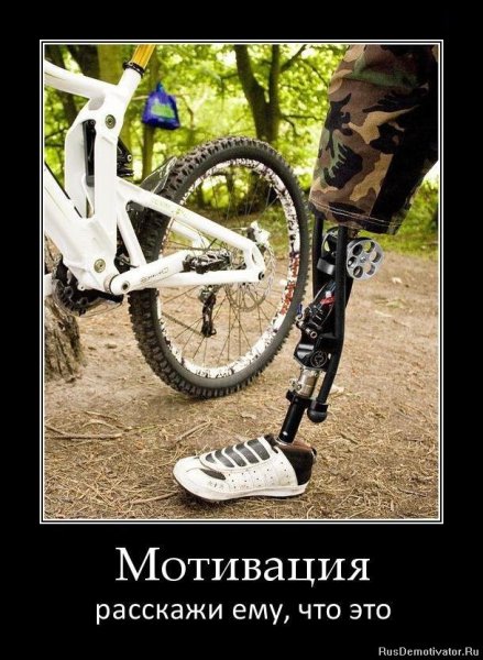 Мотивационные демотиваторы
