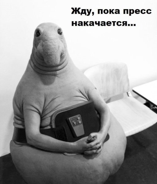 Ждун Омск