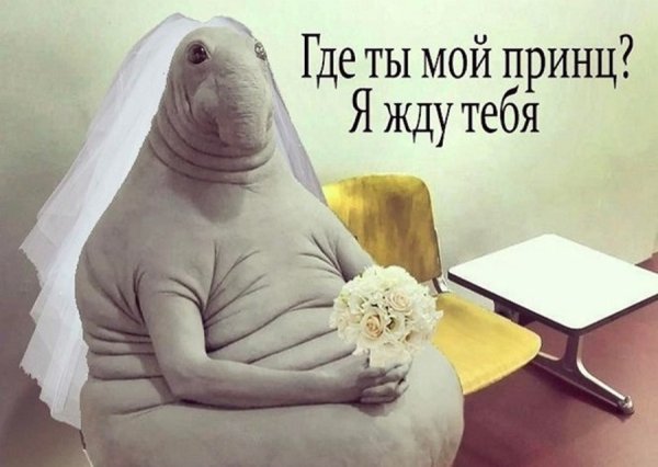 Ждун девочка