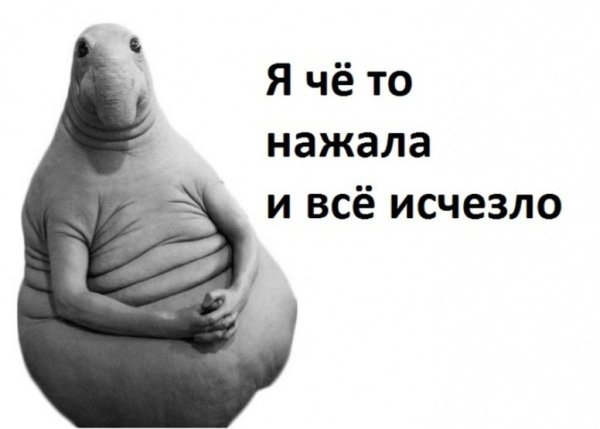 Я что-то нажала и все