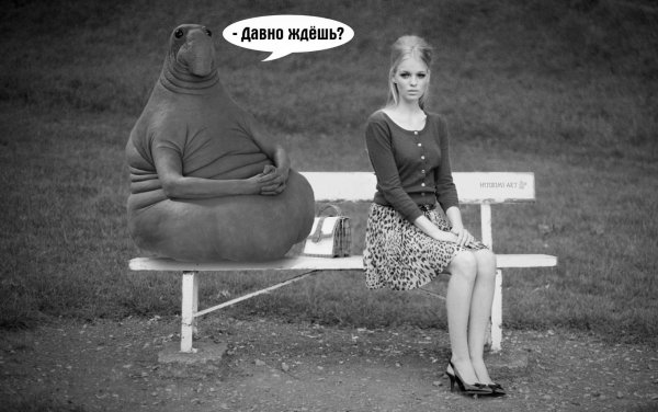 Ждун смешно
