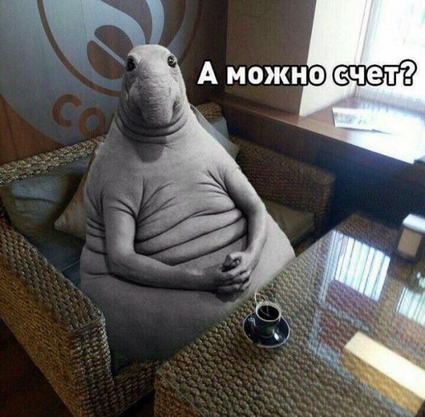 Ждун приколы