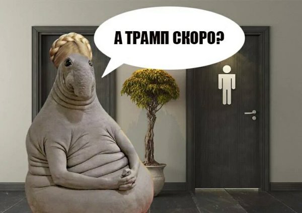 Ждун картины