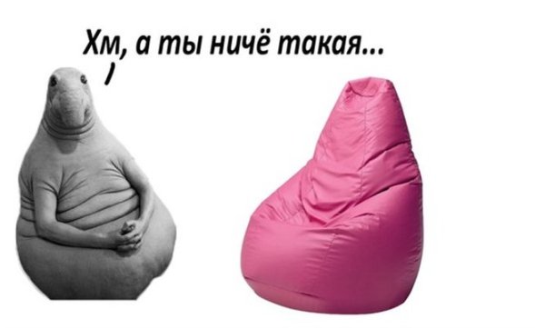 Ждун приколы