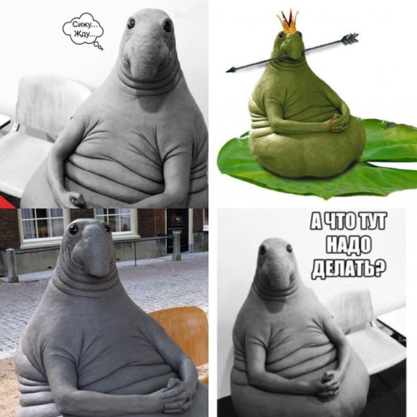 Нормальный мужик прикол