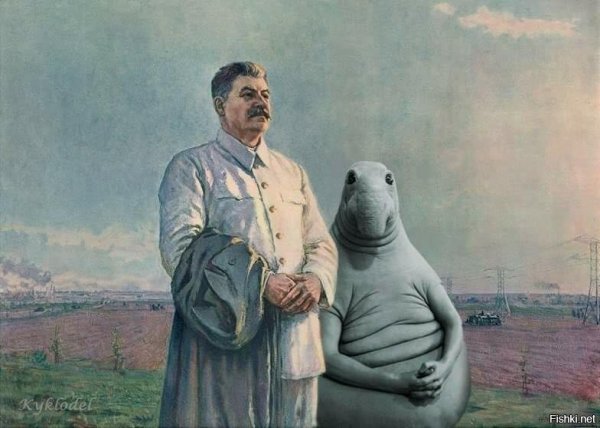 Ждун женщина