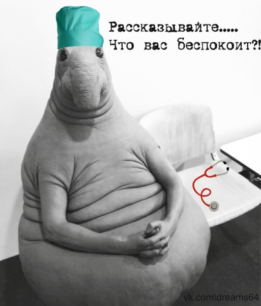Доброе утро Ждун