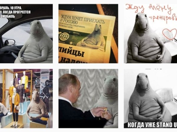 Ждун Мем