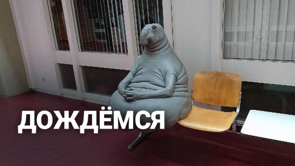 Ждун приколы про работу