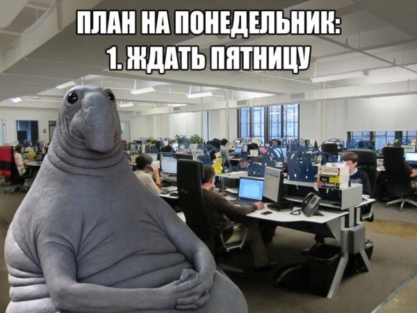 Ждун Саша