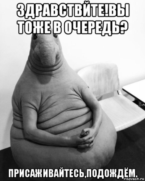 Новый Мем Ждун