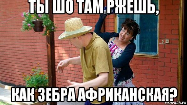 Сваты приколы