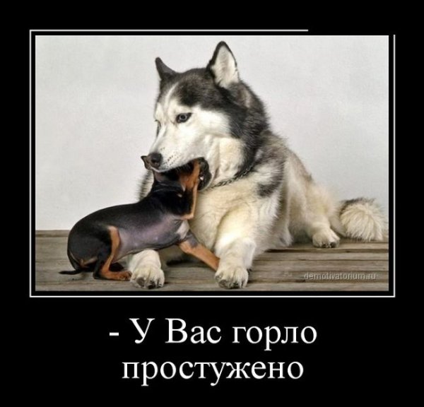 Лайки демотиватор
