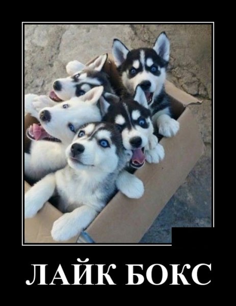 Лайки демотиватор