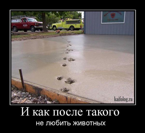 Демотиваторы обо всем