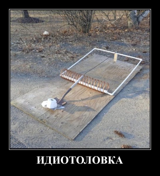 Необычные демотиваторы