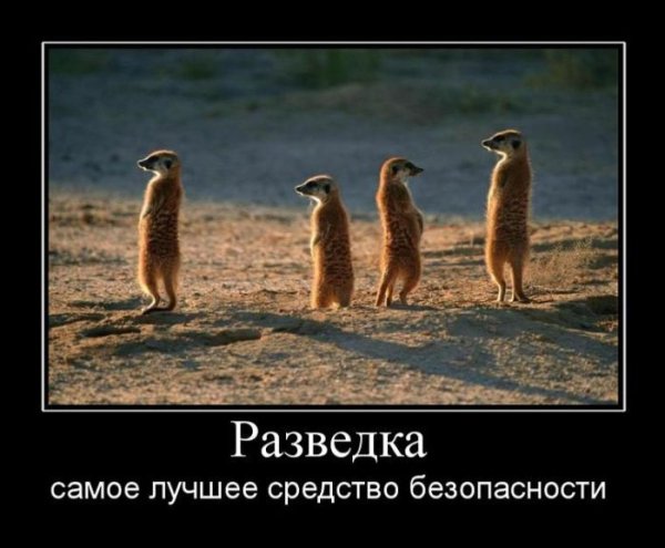 Разведка юмор