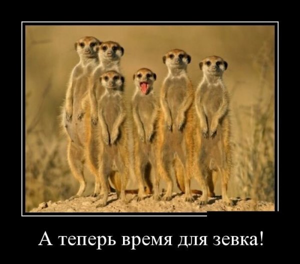 Оставайся собой