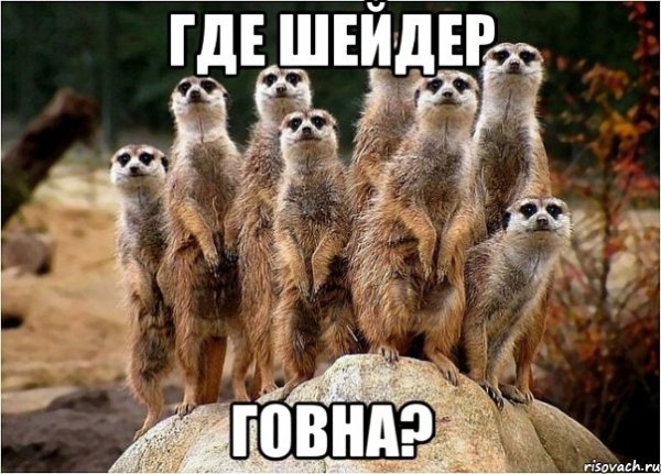 Мем про сурикатов