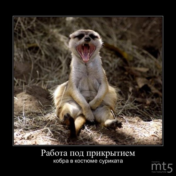 Шире Вселенной горе мое