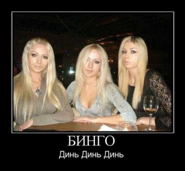 Демотиваторы про блондинок