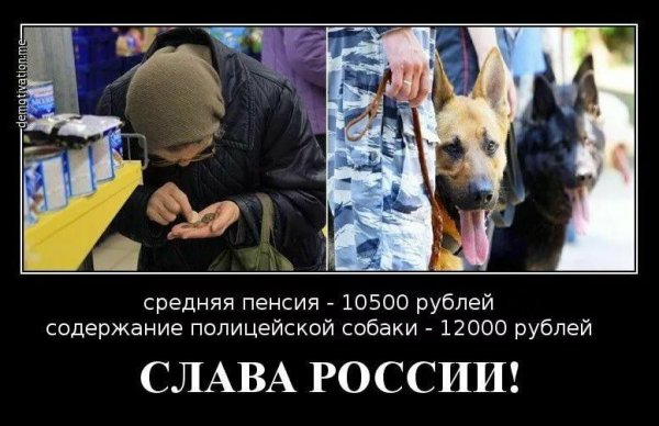 Демотиваторы про пенсию в России