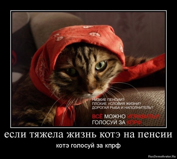 Пенсия демотиваторы