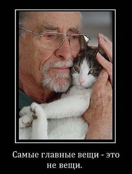 Самые популярные демотиваторы