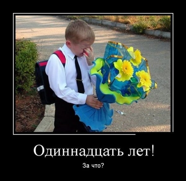 1 Сентября приколы