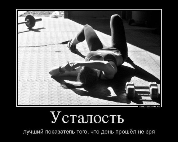 Не жалей себя себя жалеют только ничтожества