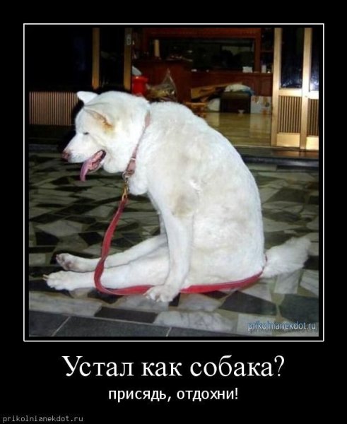 Приколы про усталость
